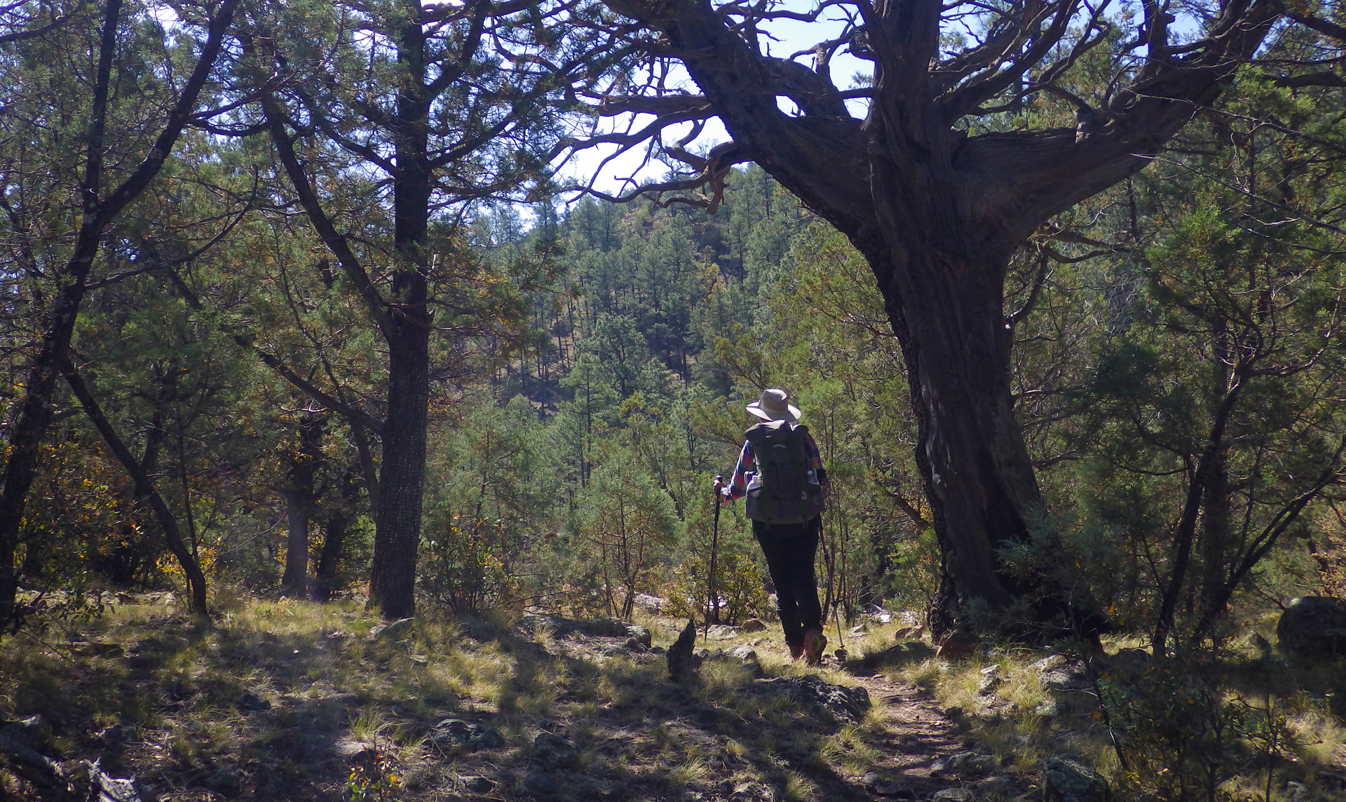 hiker silhouette