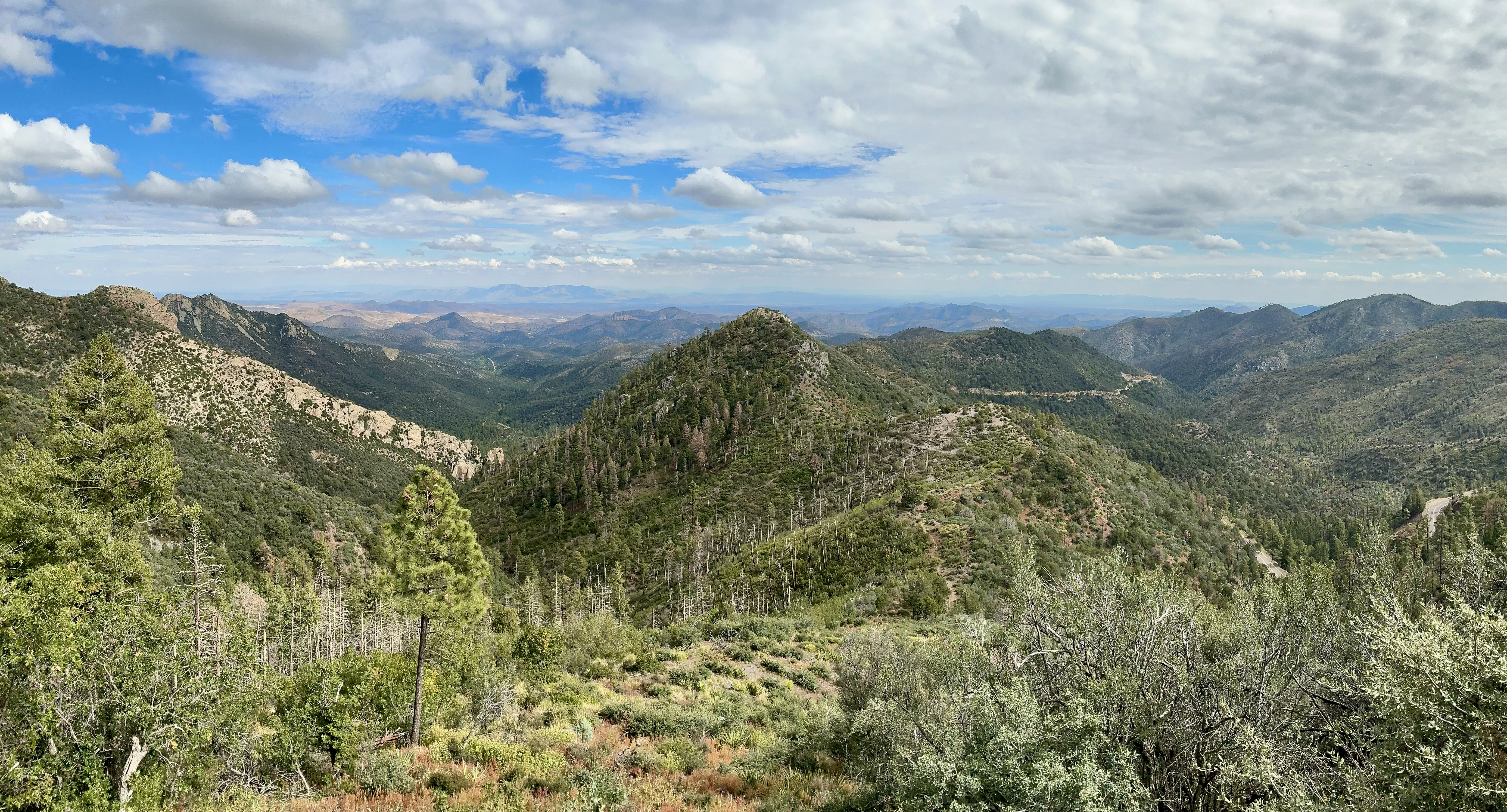 view from Emory Pass