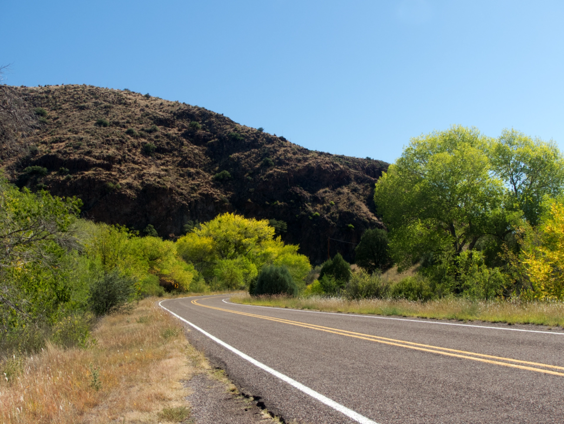 changing leaves near Hillsboro