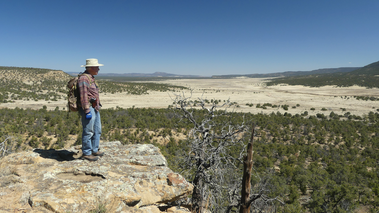 view from the mesa top