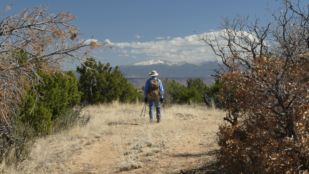 Mount Taylor