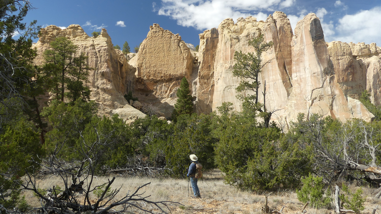 soaring cliffs