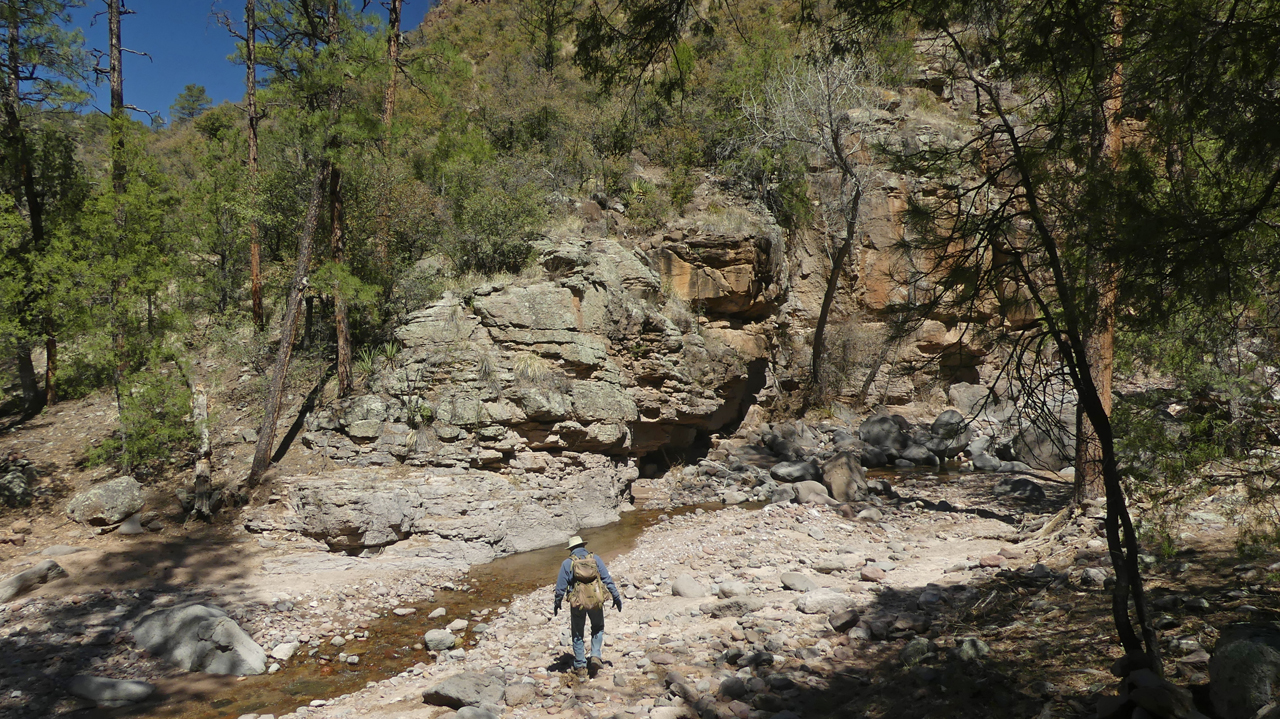 rocky stream bank