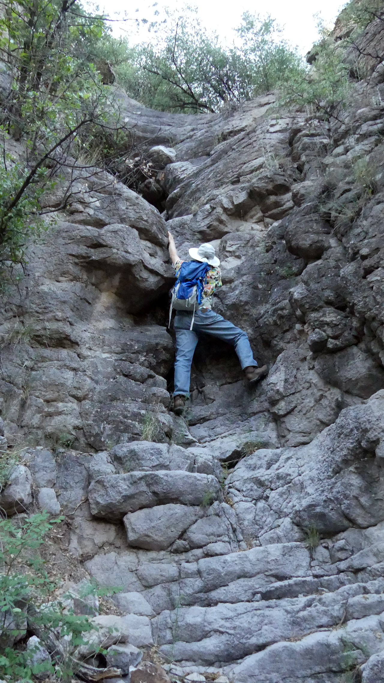 Hiking Cottonwood Canyon