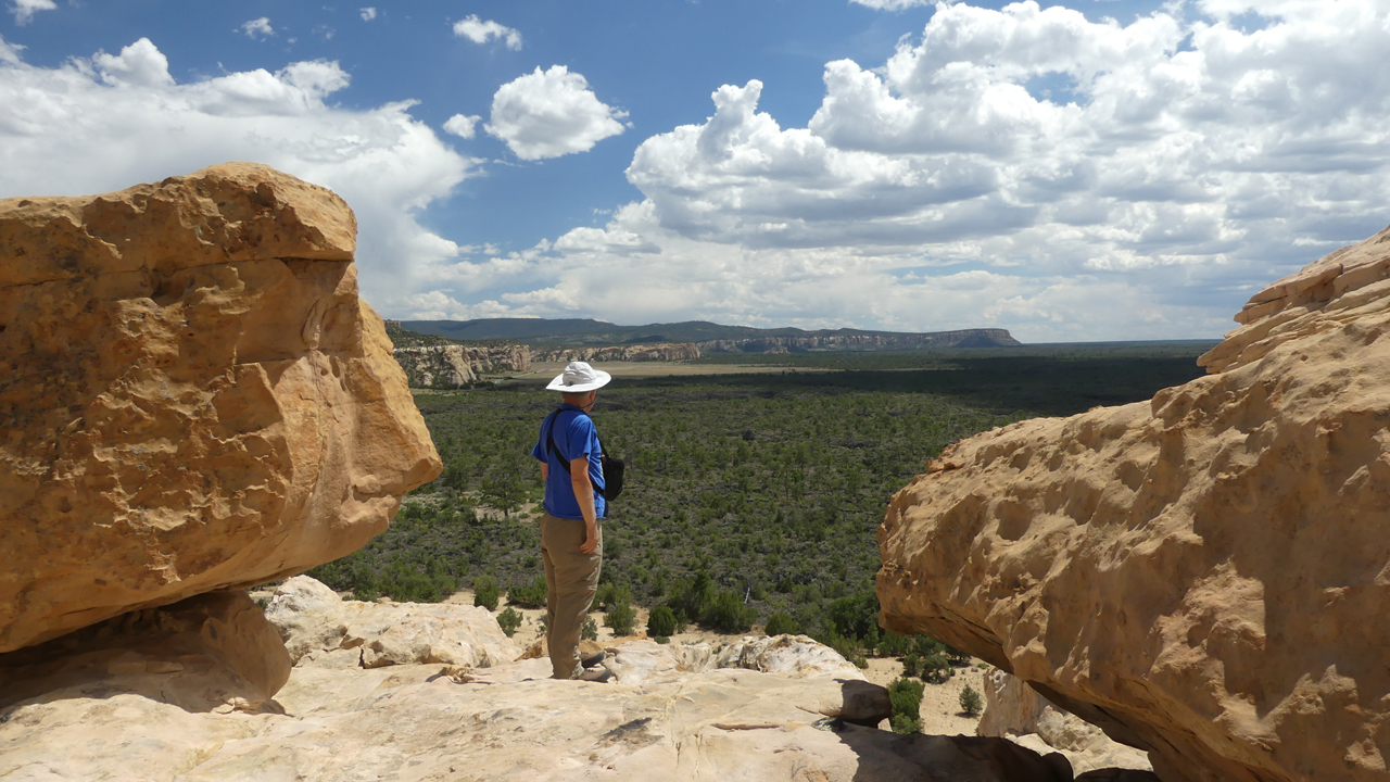 looking south toward the Narrows