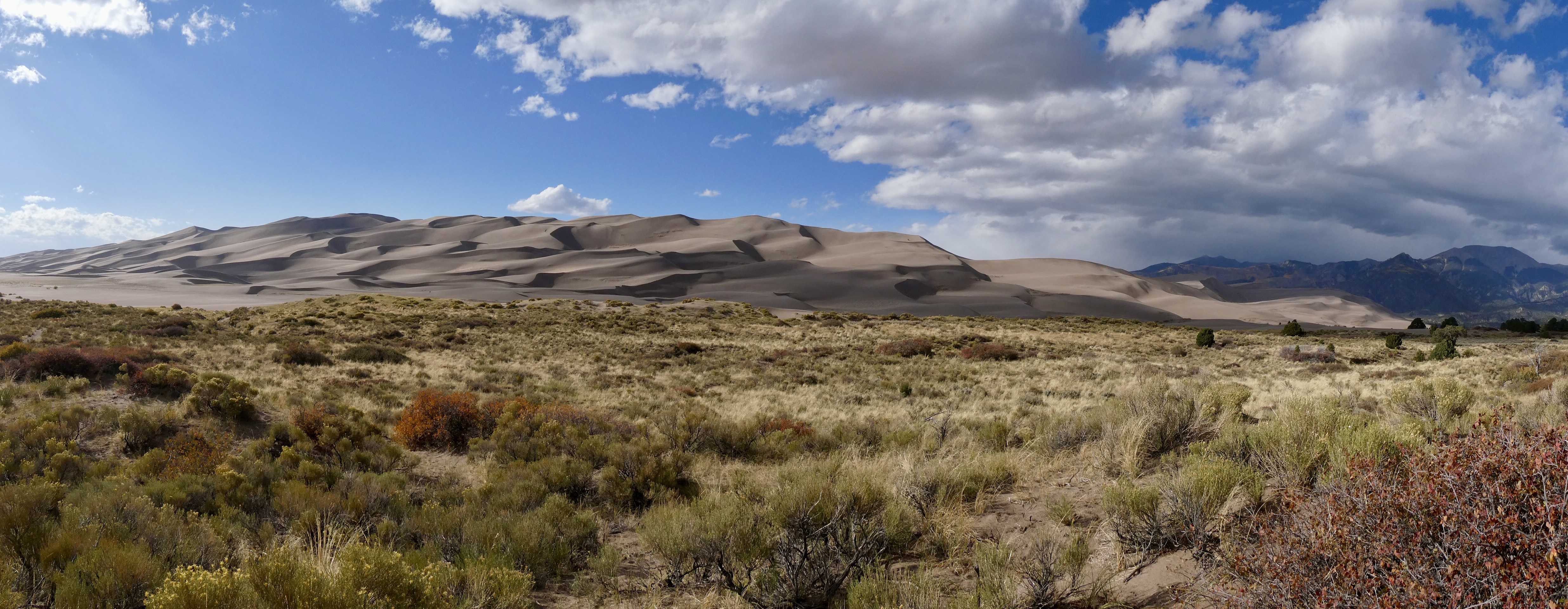 in the dunes