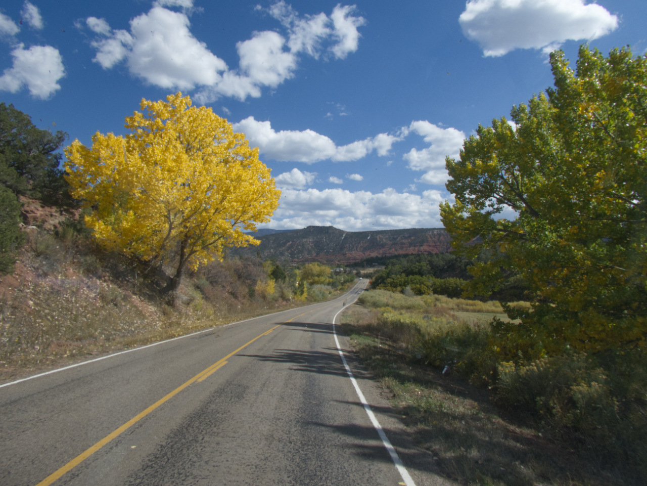 golden trees and red mesas