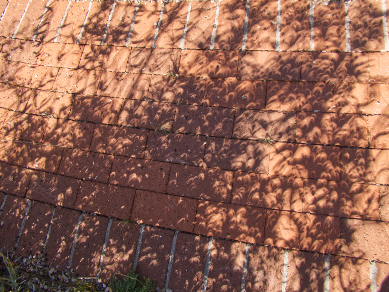 eclipse shadows #1