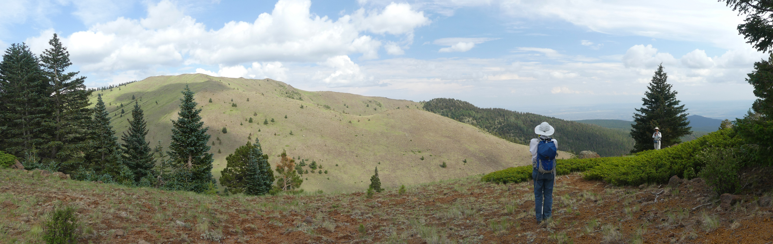 overlooking Water Canyon