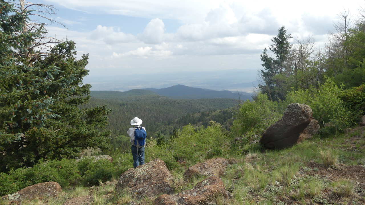 view from Mount Taylor