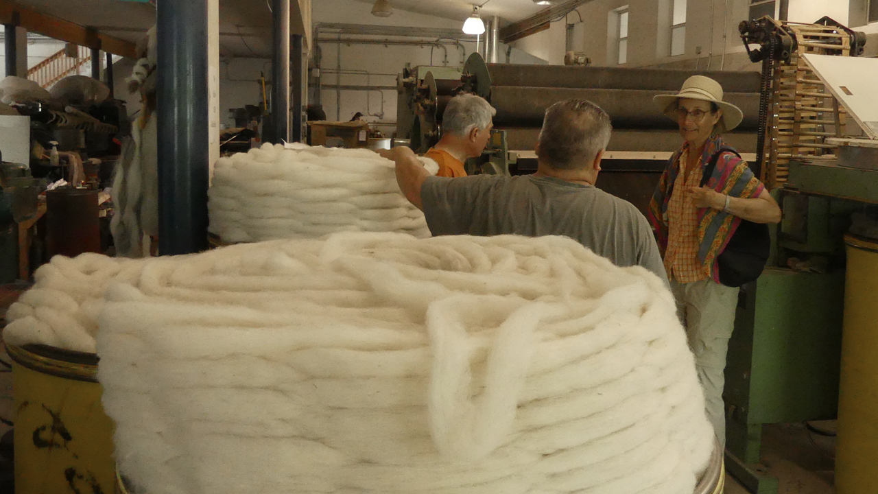 coils of carded wool