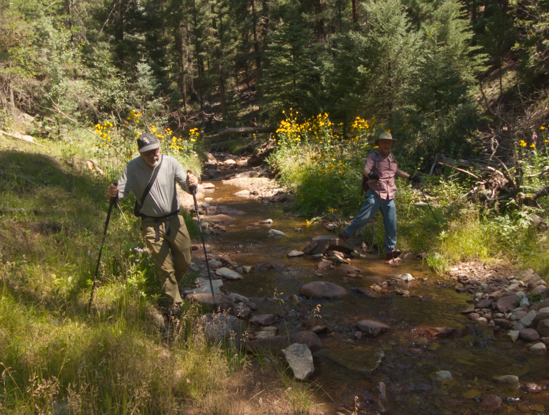 bushwhacking along Rito Resumidero