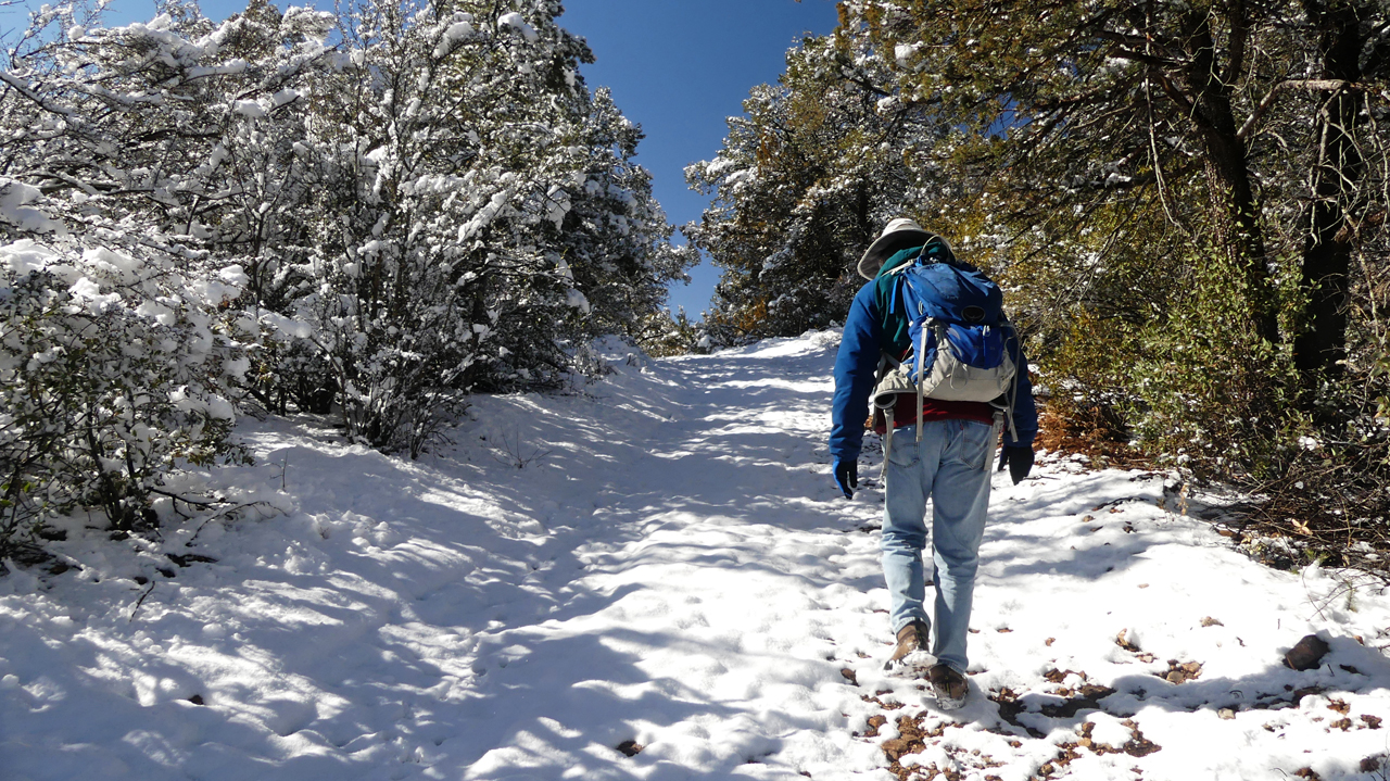 walking in the snow