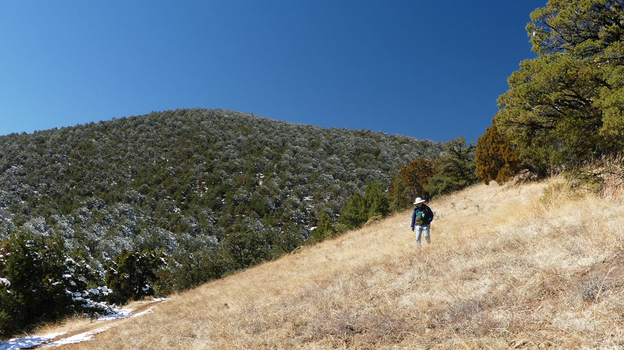 sunny/snowy hillsides