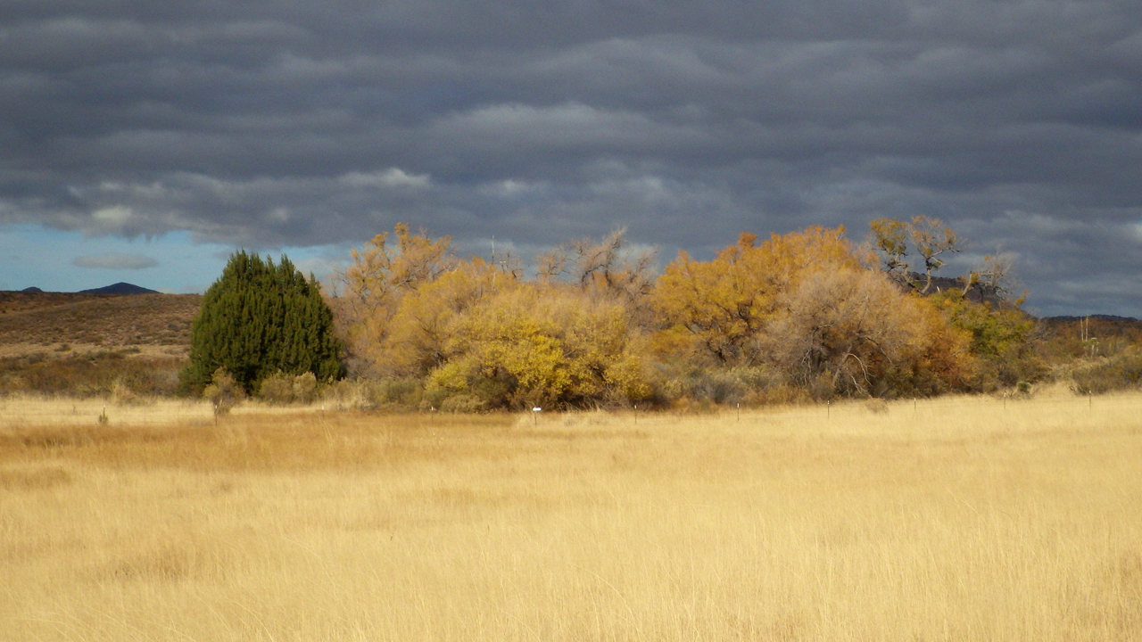 the cienega in late afternoon light