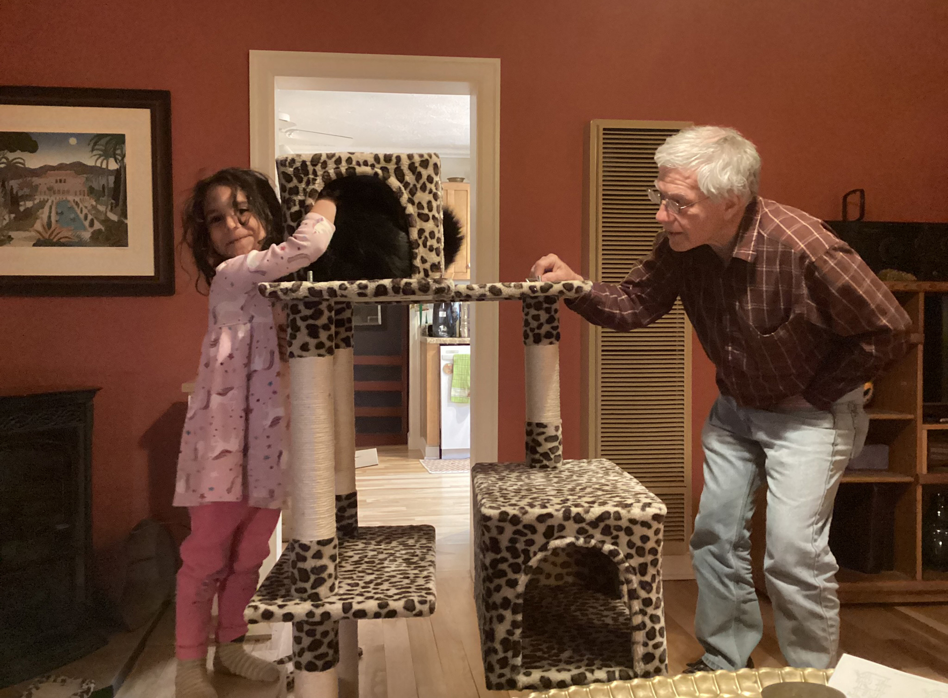 Elio hops onto the cat tower