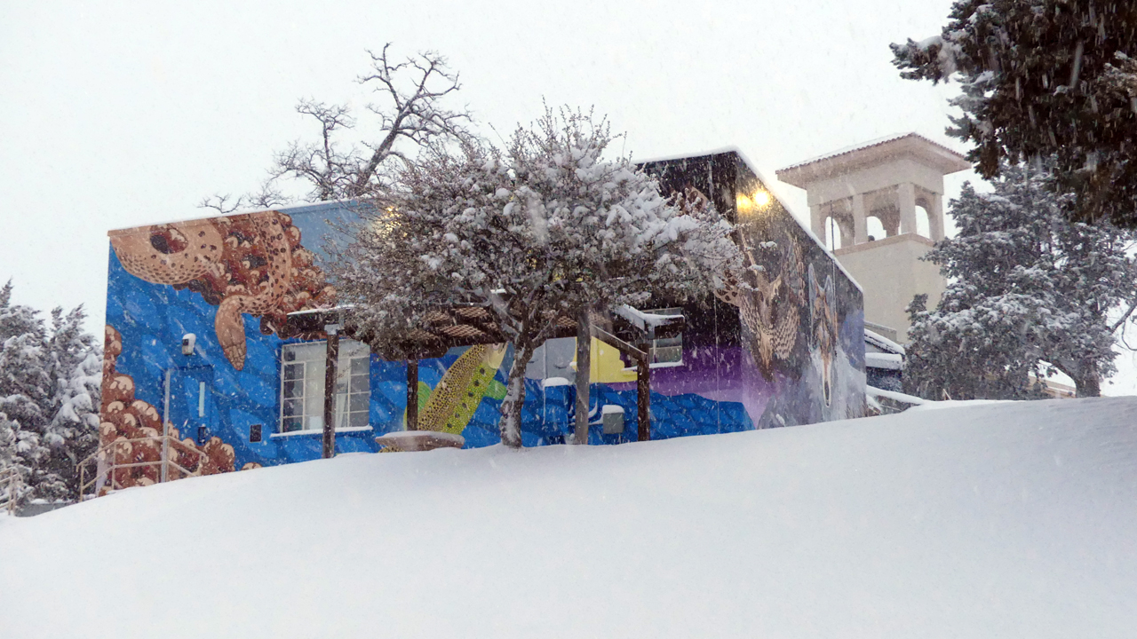 mural on campus building in the snow