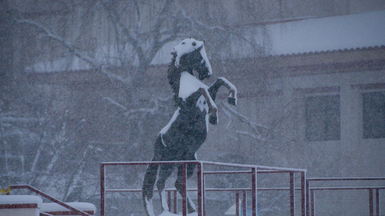 WNMU mustang statue in the snow