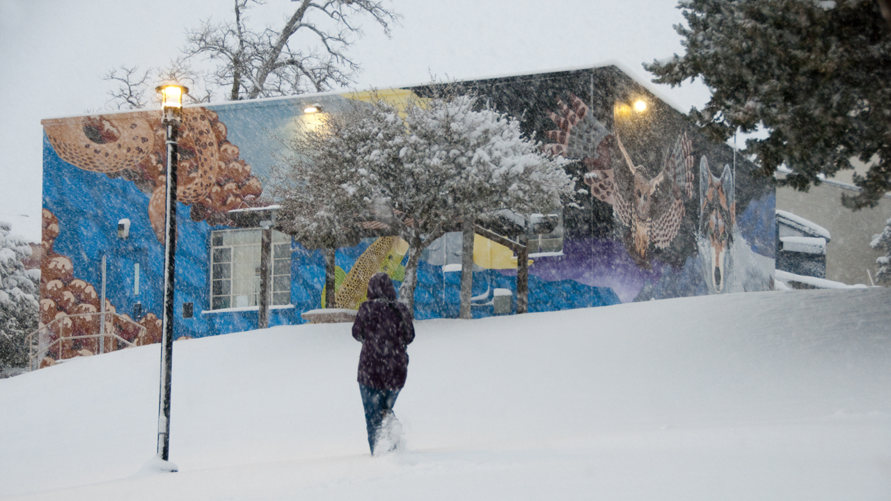 mural on building in snowstorm