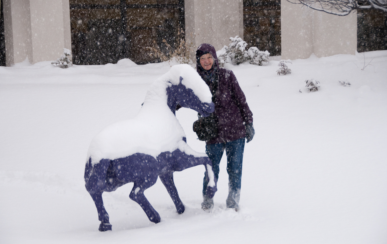 mustang statue in snow