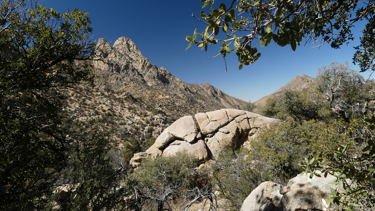 view of Needles and Baylor Pass