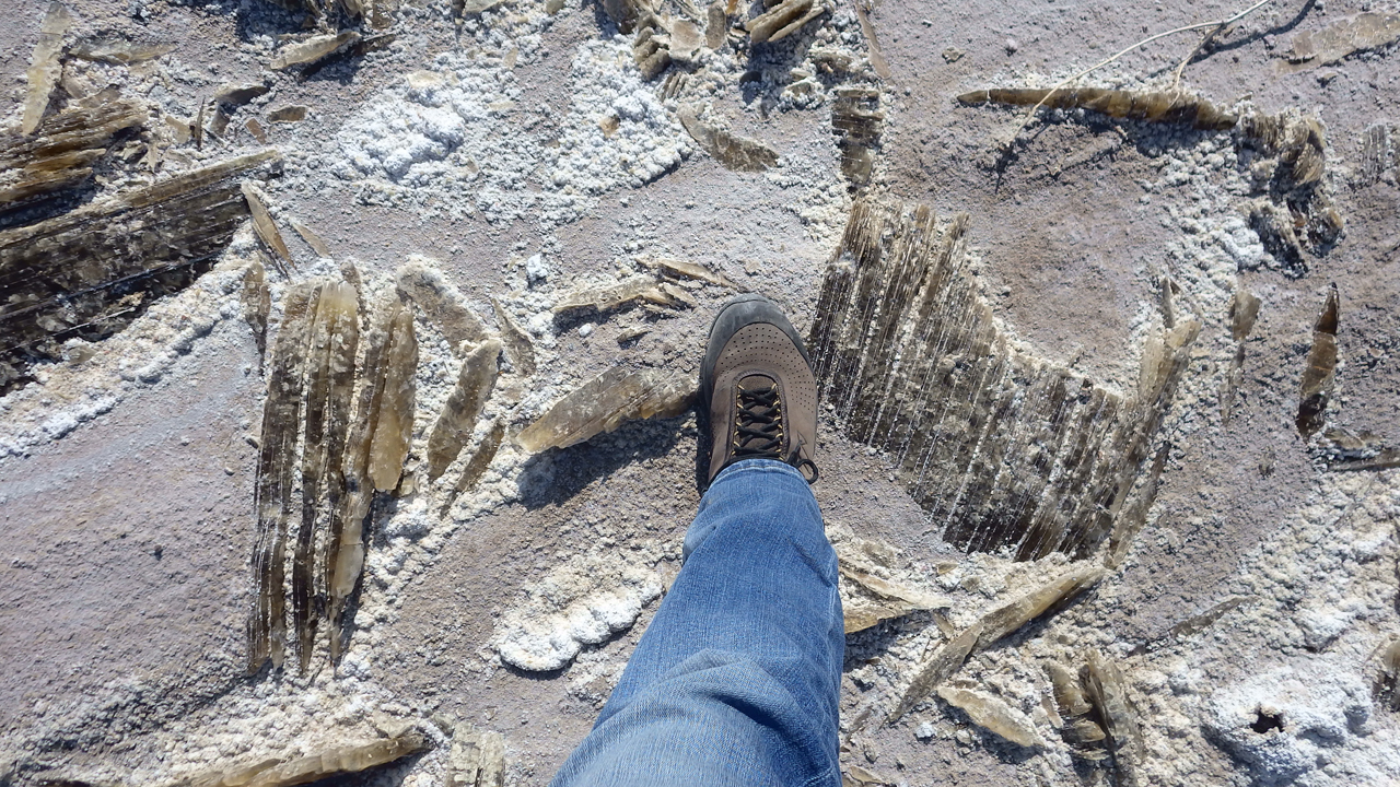 selenite crystals with a boot for scale