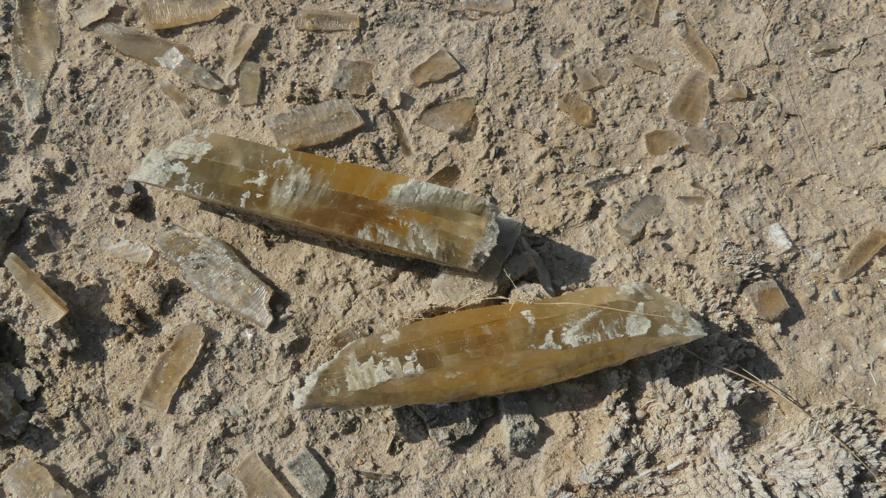 selenite crystals