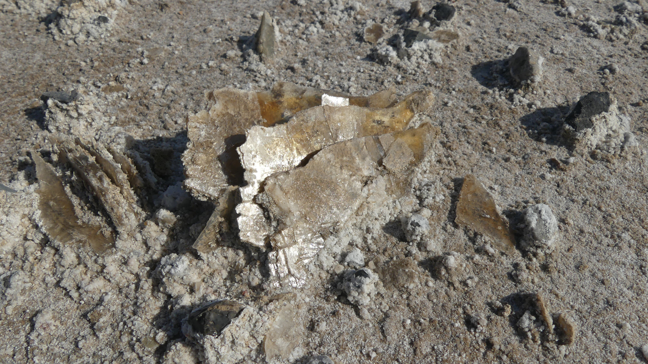 selenite crystals shimmering in the sun