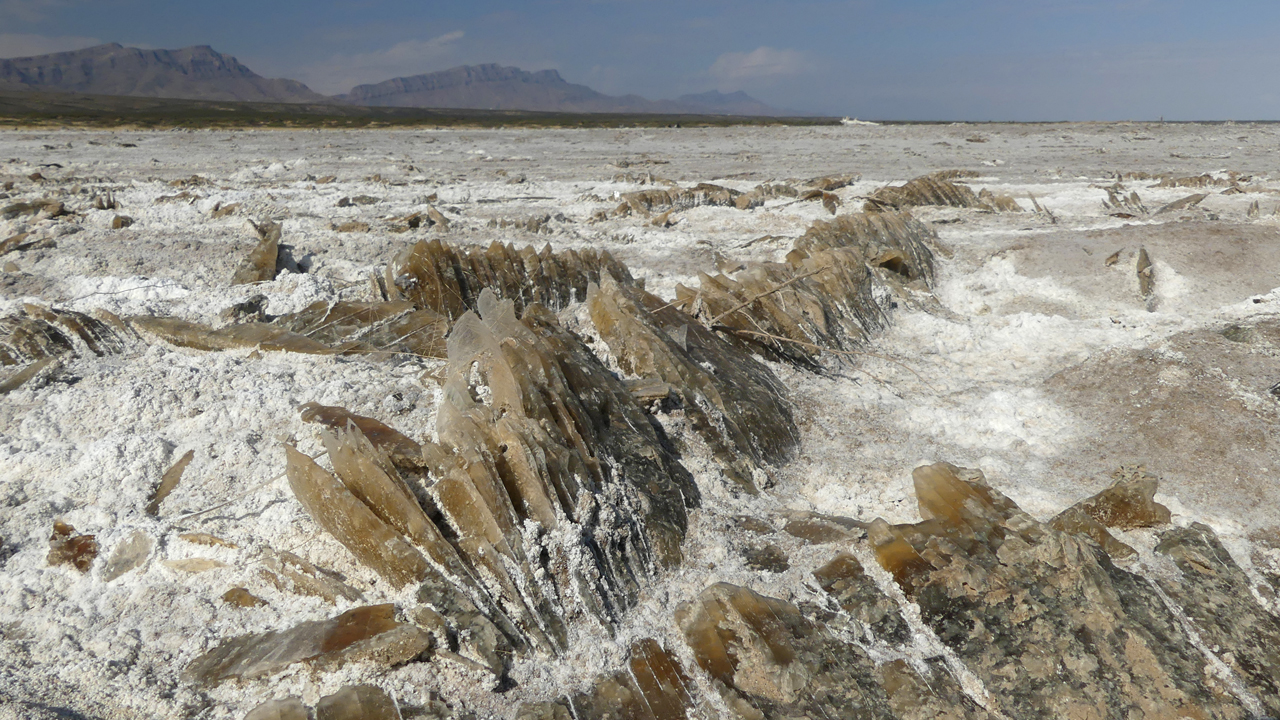 long line of selenite crystals