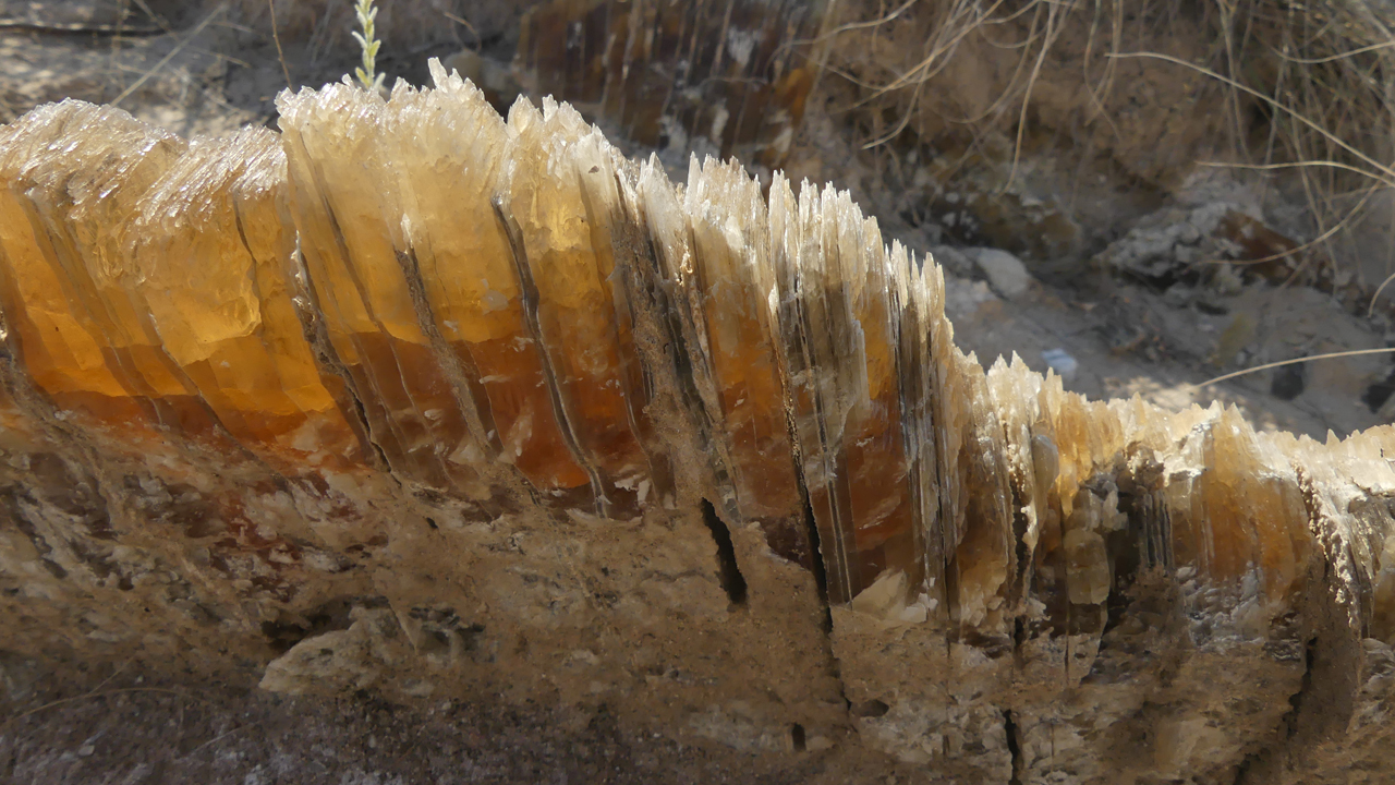 translucent selenite crystals