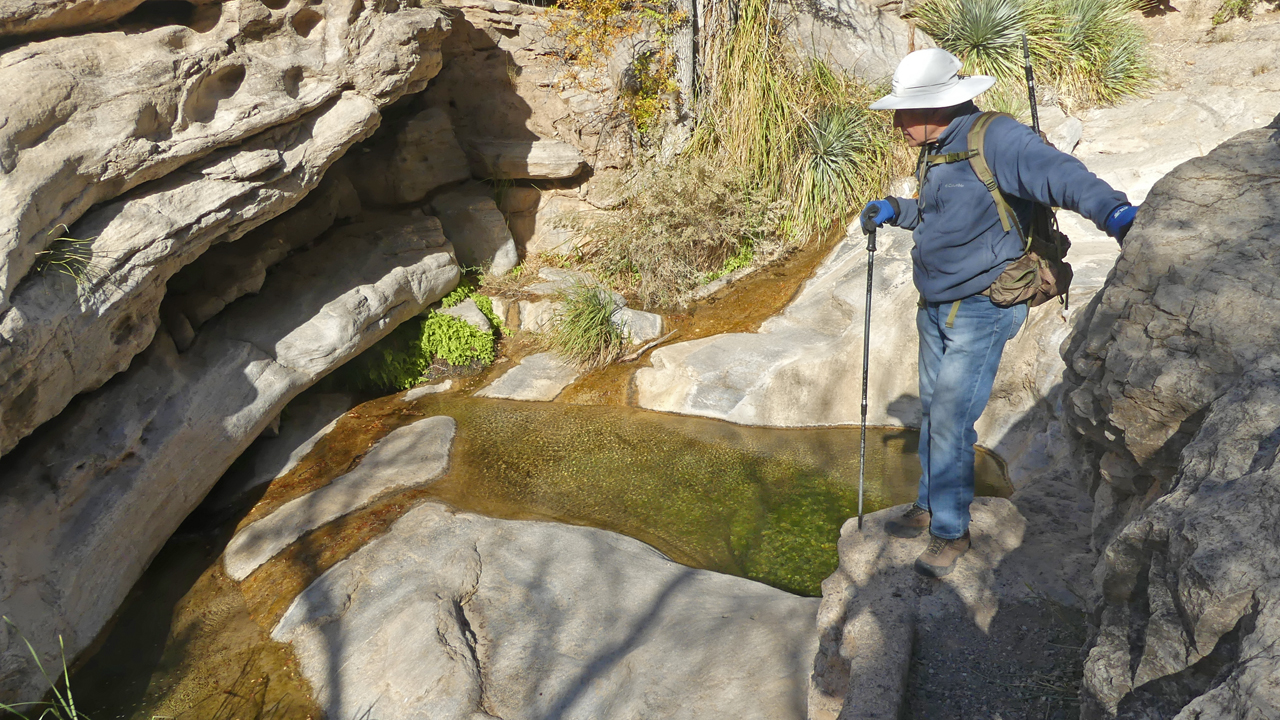 pools in Dog Canyon