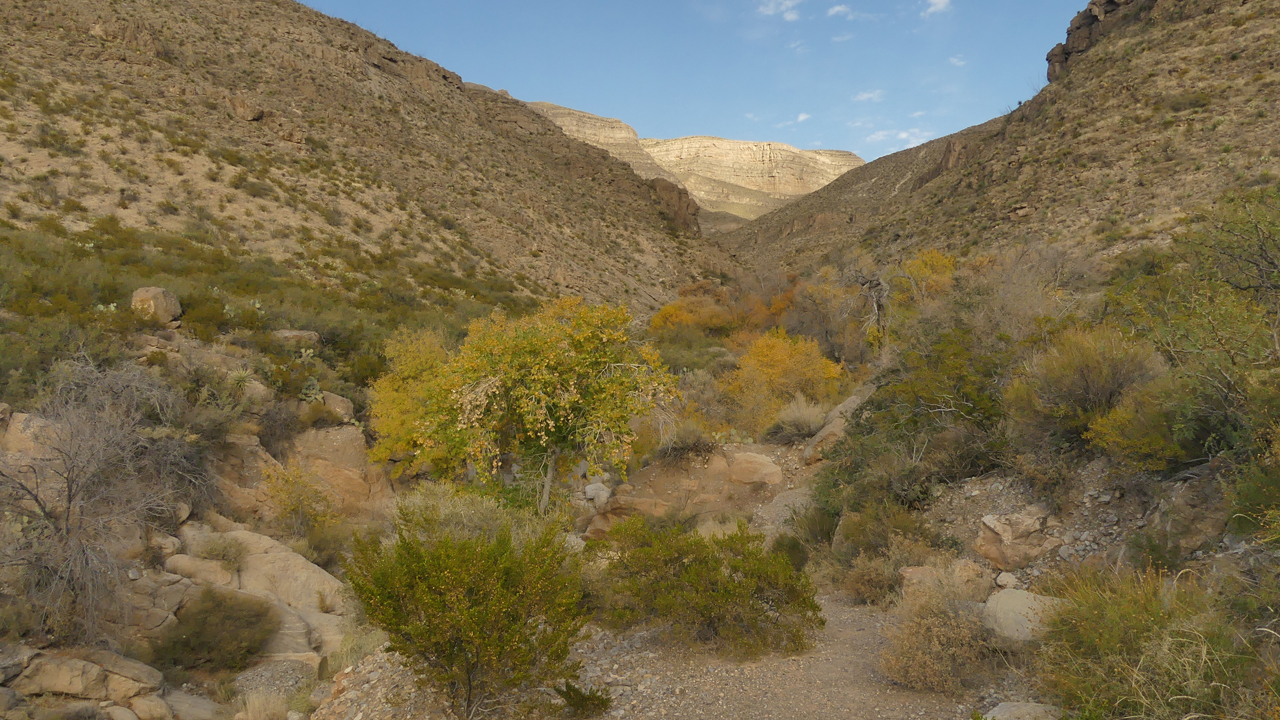 view up the canyon from the wash