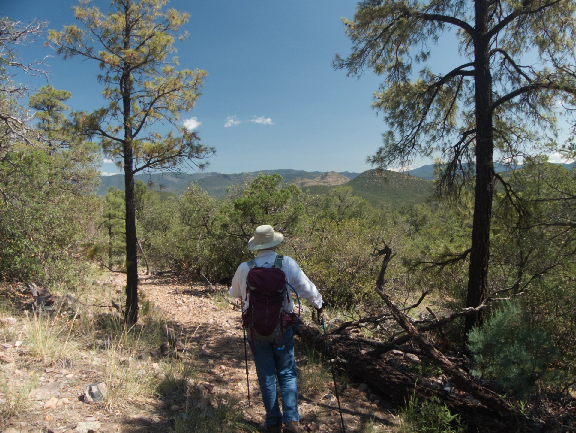 view toward Stewart Peak and Preacher's Point