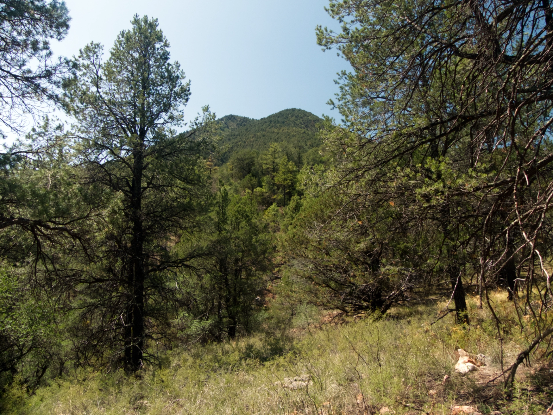 view of Bear Mountain from the north