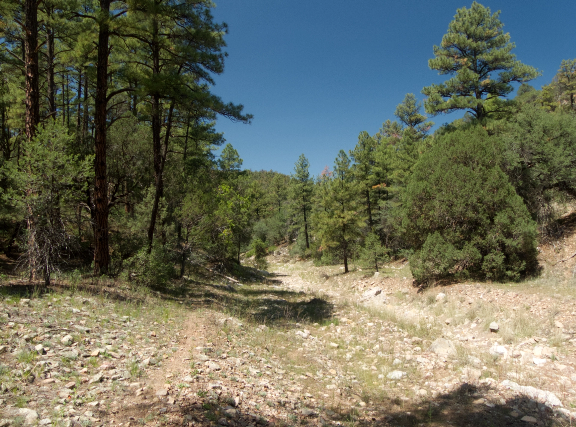 Walnut Creek