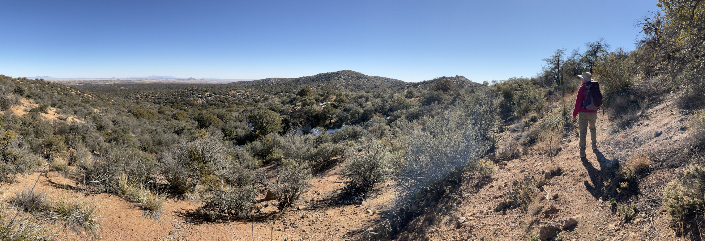 panorma from the top of the ridge