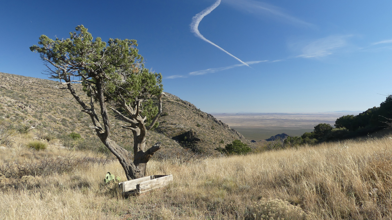 view from the saddle