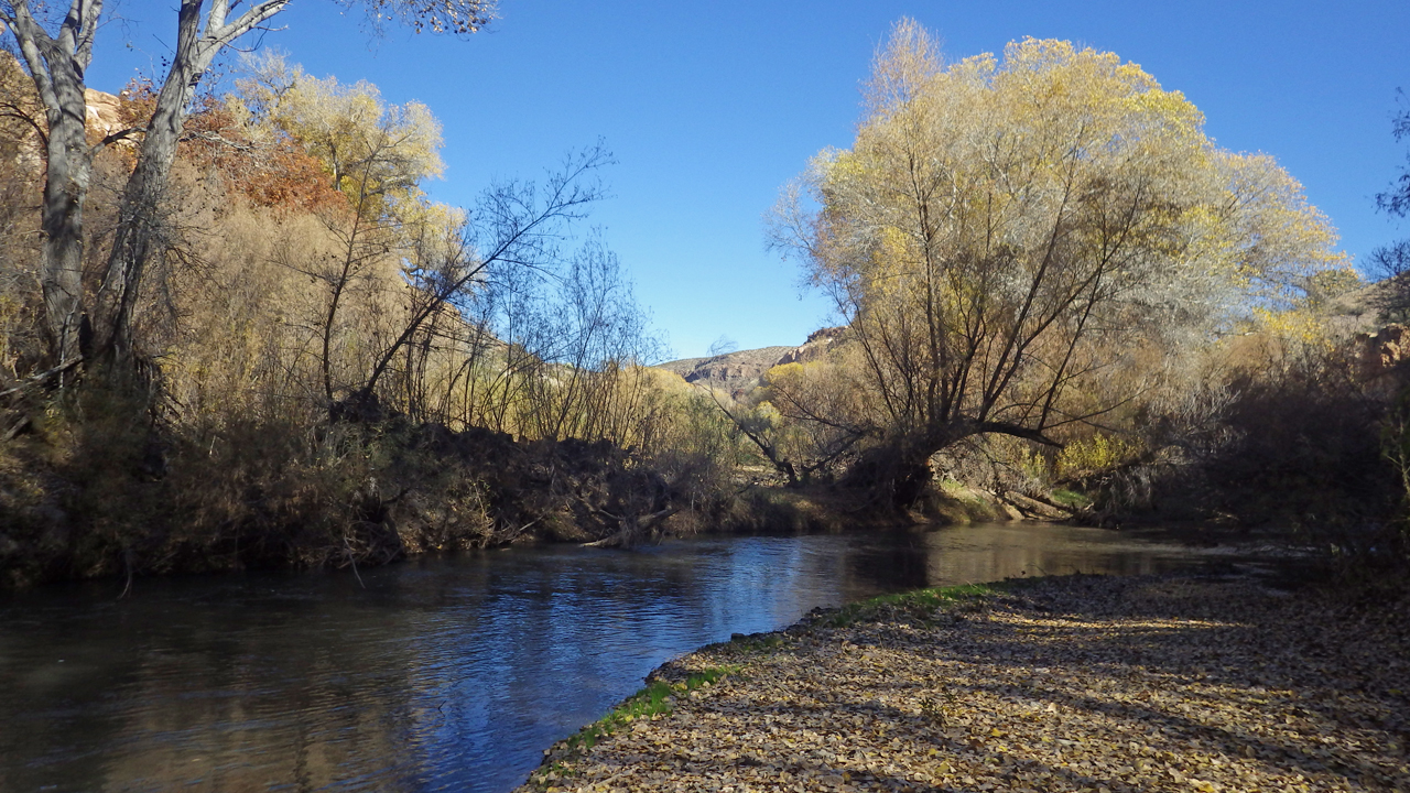 a beach on the Gila