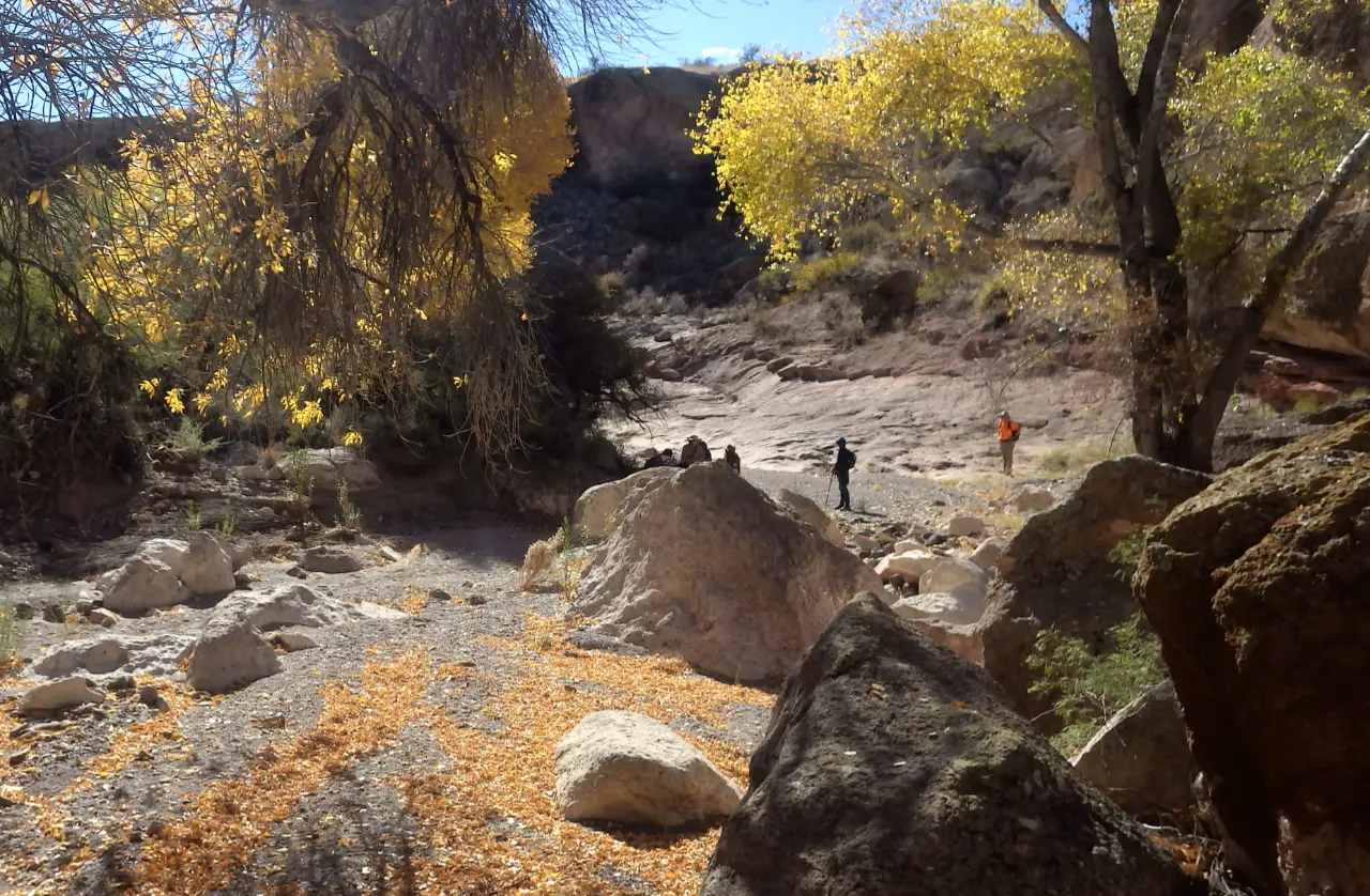 distant view of hikers in the canyon