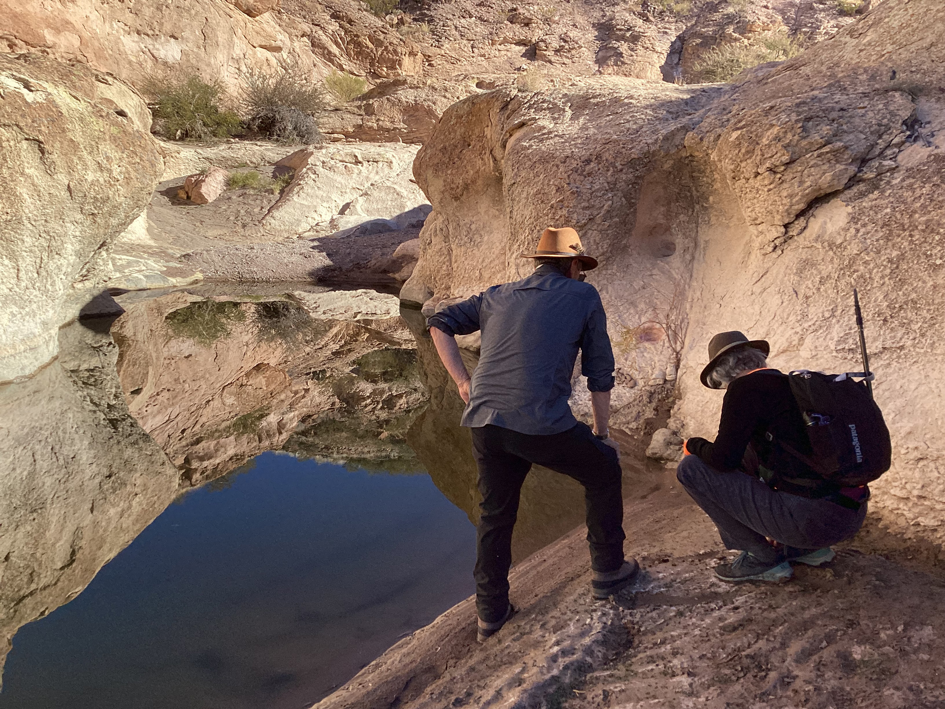 examining animal tracks in the mud