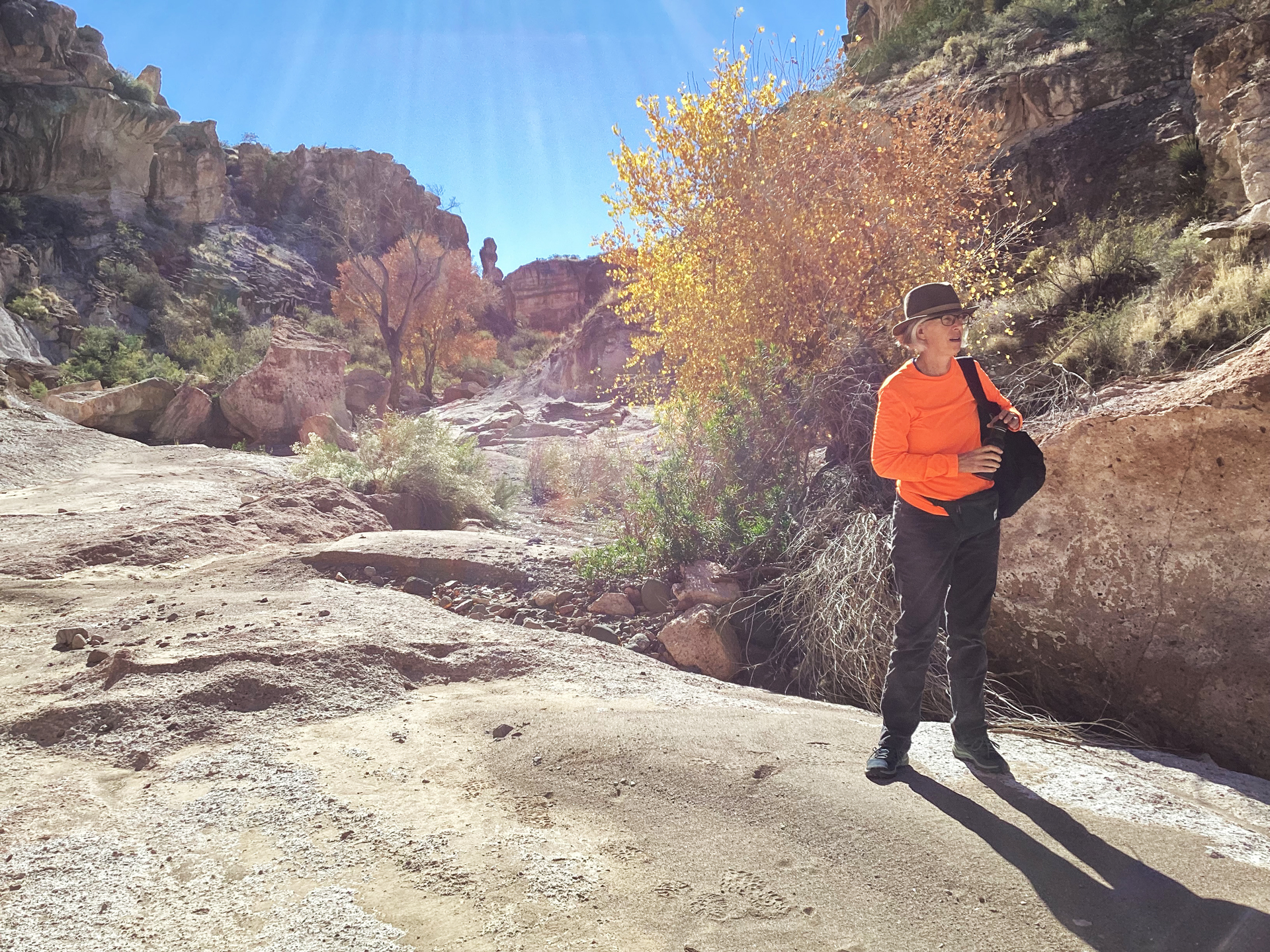 woman in orange T-shirt matching fall colors of the canyon