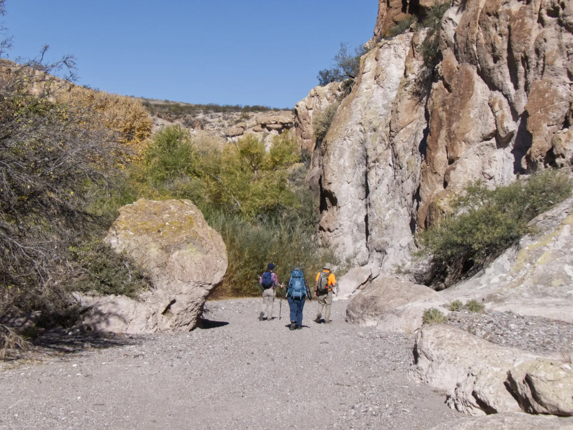 the group near a cluster of bedrock mortars