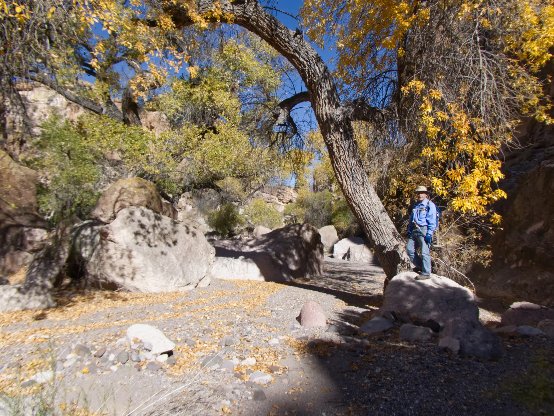 trio of hikers in the canyon