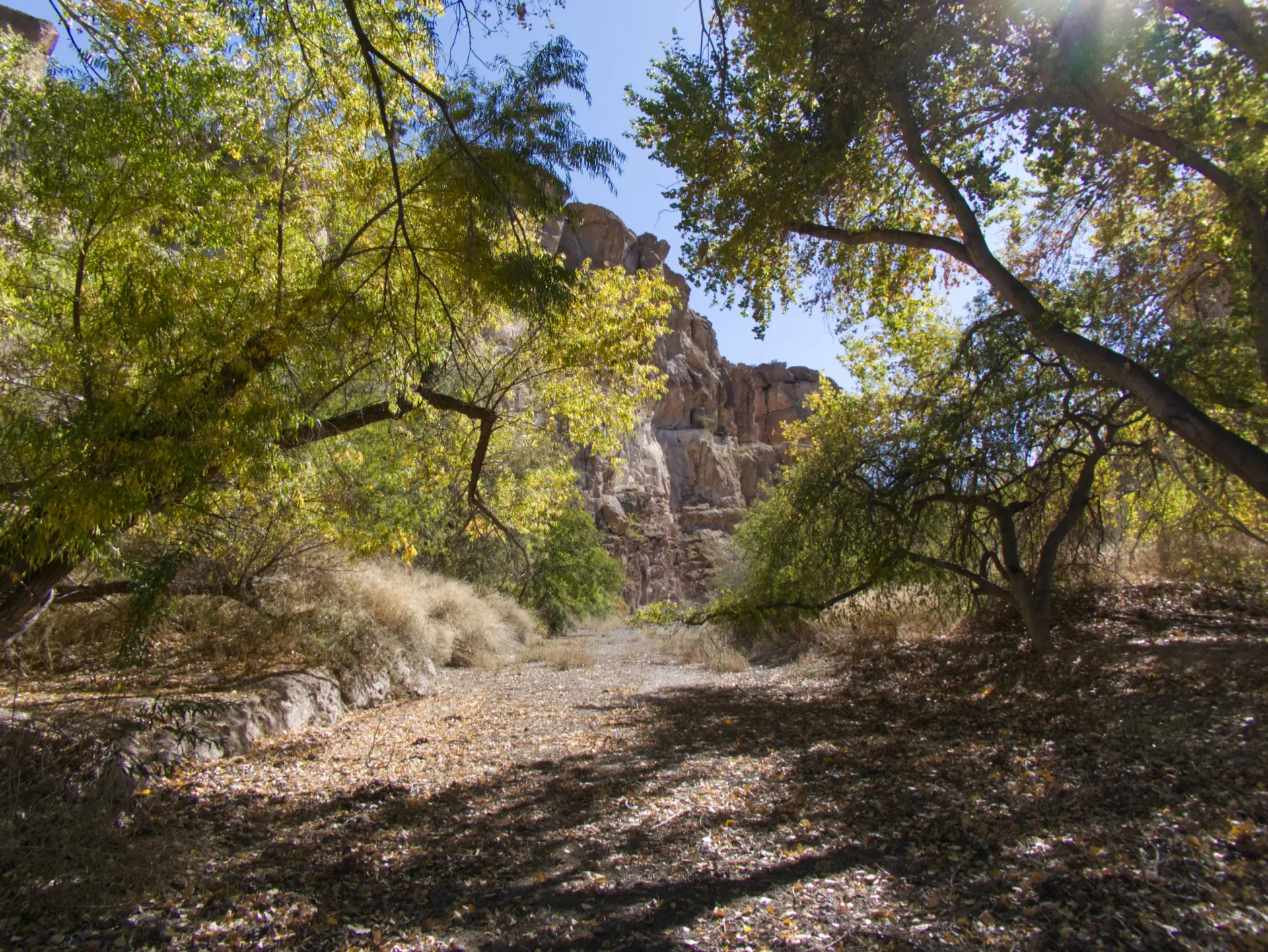 mouth of the canyon