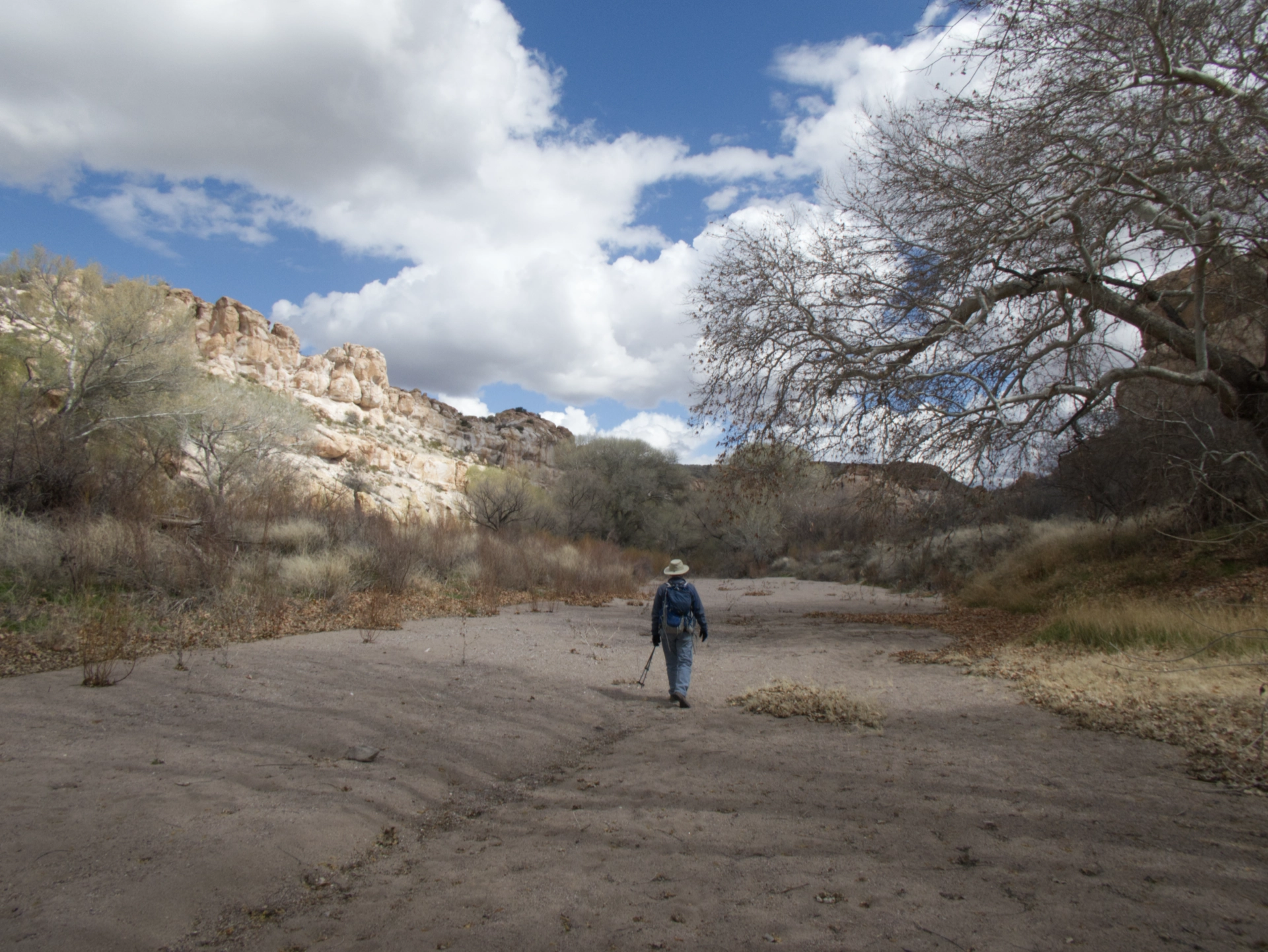 sandy cutoff meander