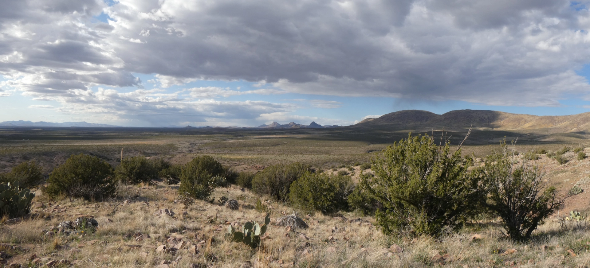 desert scene with stormy horizon