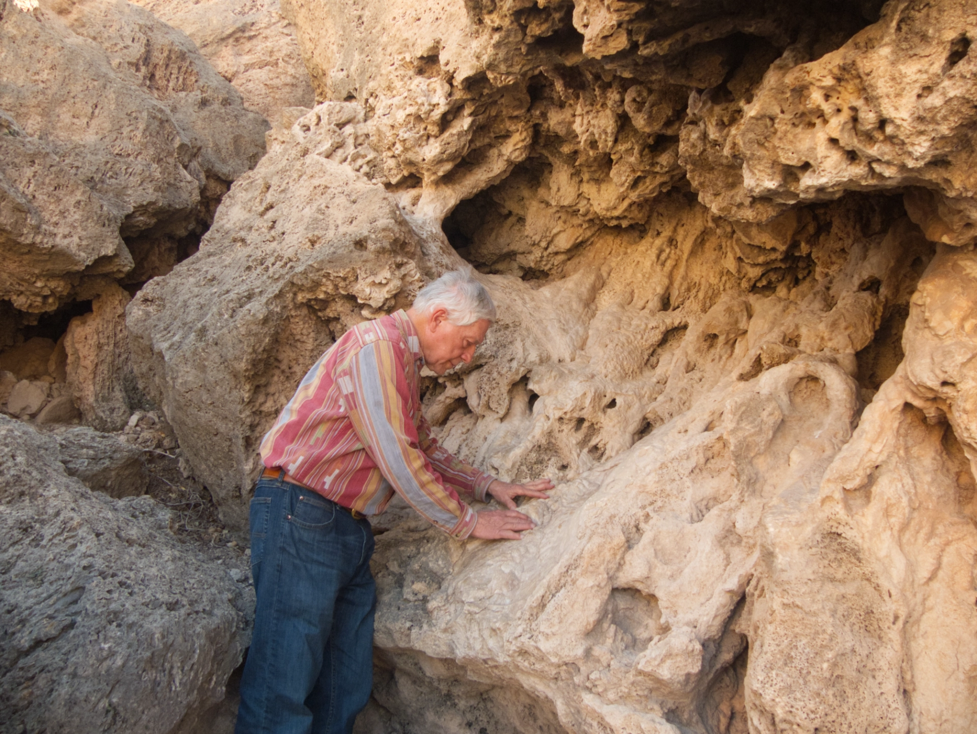 gnarly travertine cliff at Sitting Bull Falls