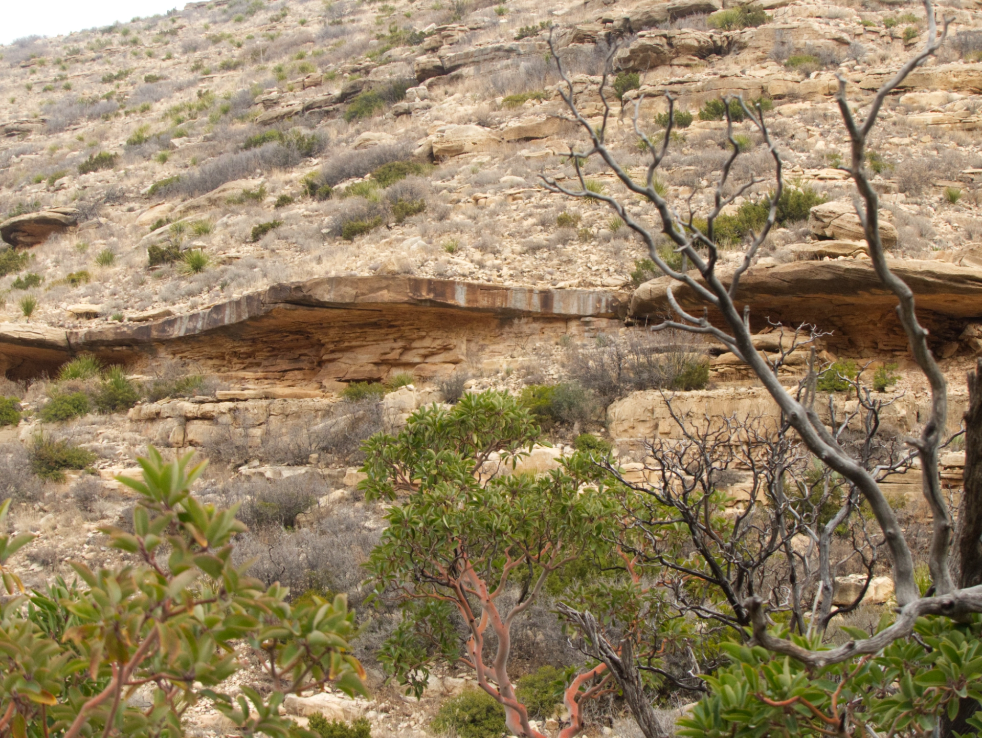 overhanging rock in Sitting Bull Canyon