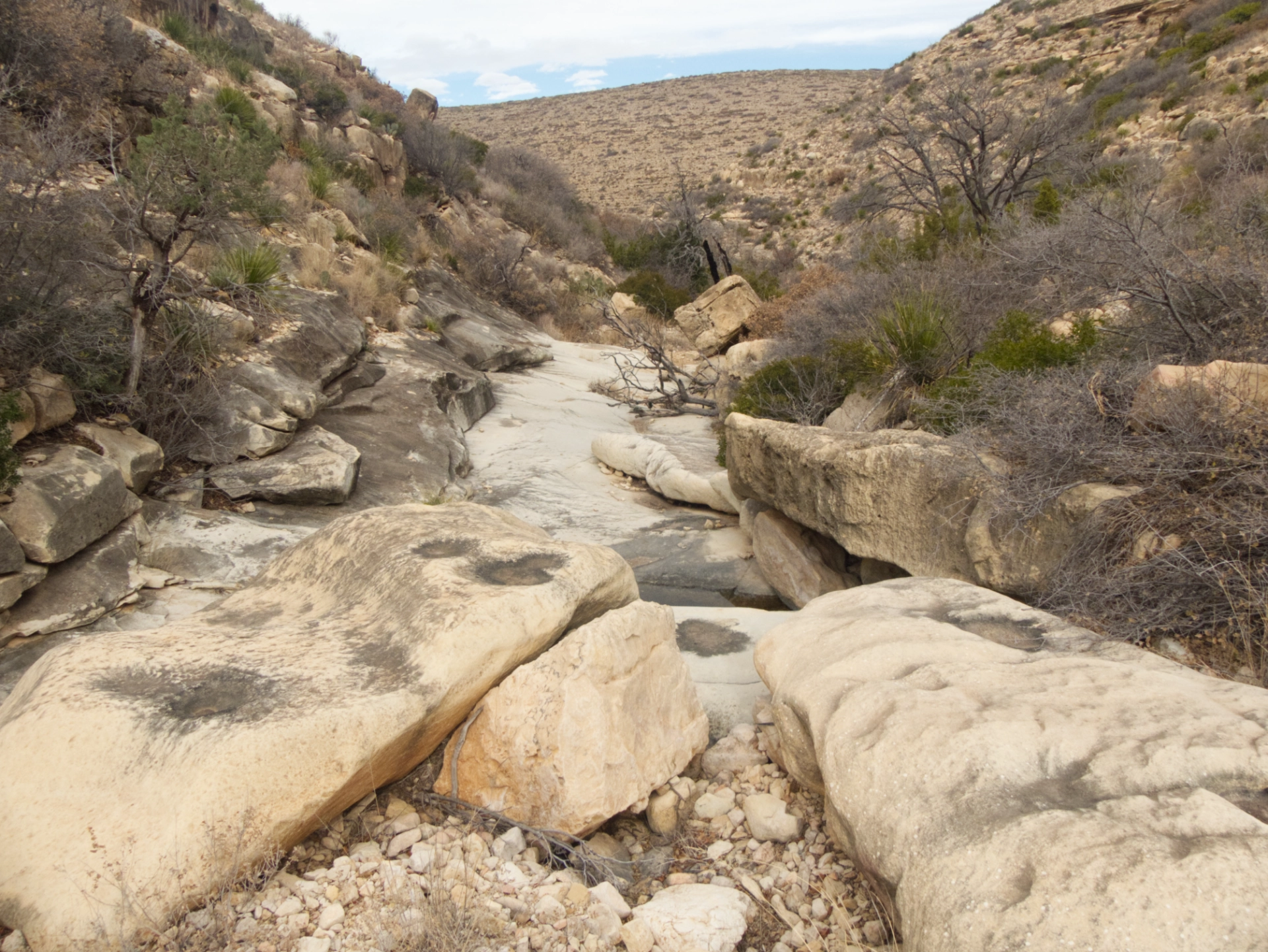 bedrock mortars in Sitting Bull Canyon