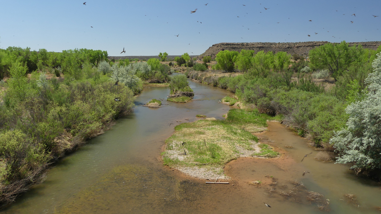 Pecos River near Puerto de Luna